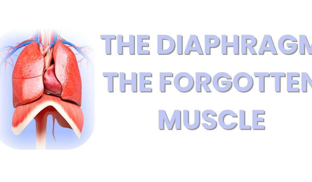 6 Interesting Facts About the Diaphragm: The Muscle That Powers Your Breath and Posture